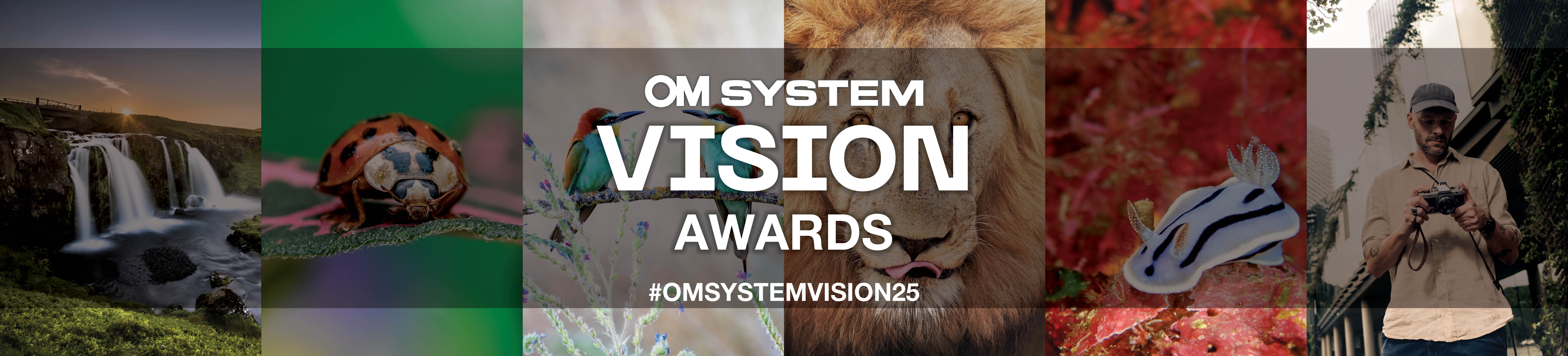 OM SYSTEM Vision Awards 2025: Celebrate Your Outdoor Photography Mastery